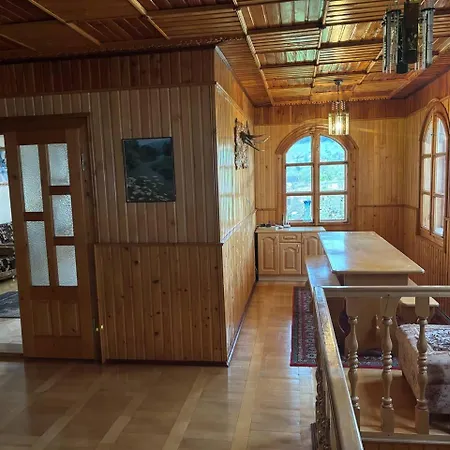 Vidi House Verkhovyna