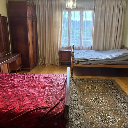 Vidi House Verkhovyna